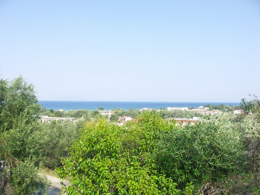 photo001.jpg