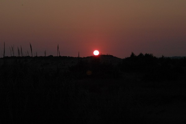 photo091.jpg